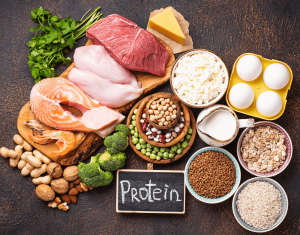 aliments riches en protéines pour maigrir