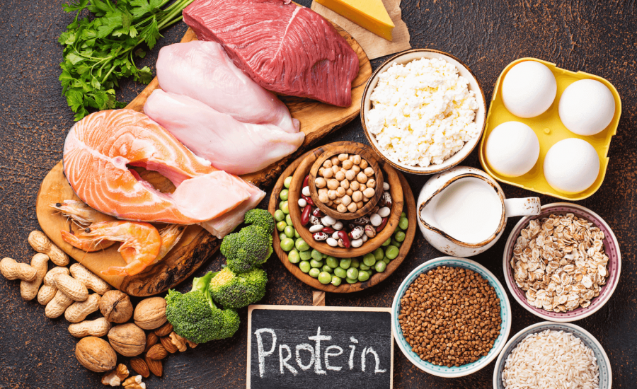 aliments riches en protéines pour maigrir